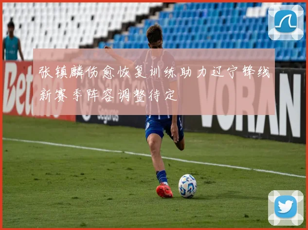 张镇麟伤愈恢复训练助力辽宁锋线新赛季阵容调整待定