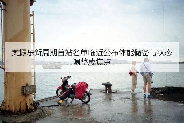 樊振东新周期首站名单临近公布体能储备与状态调整成焦点